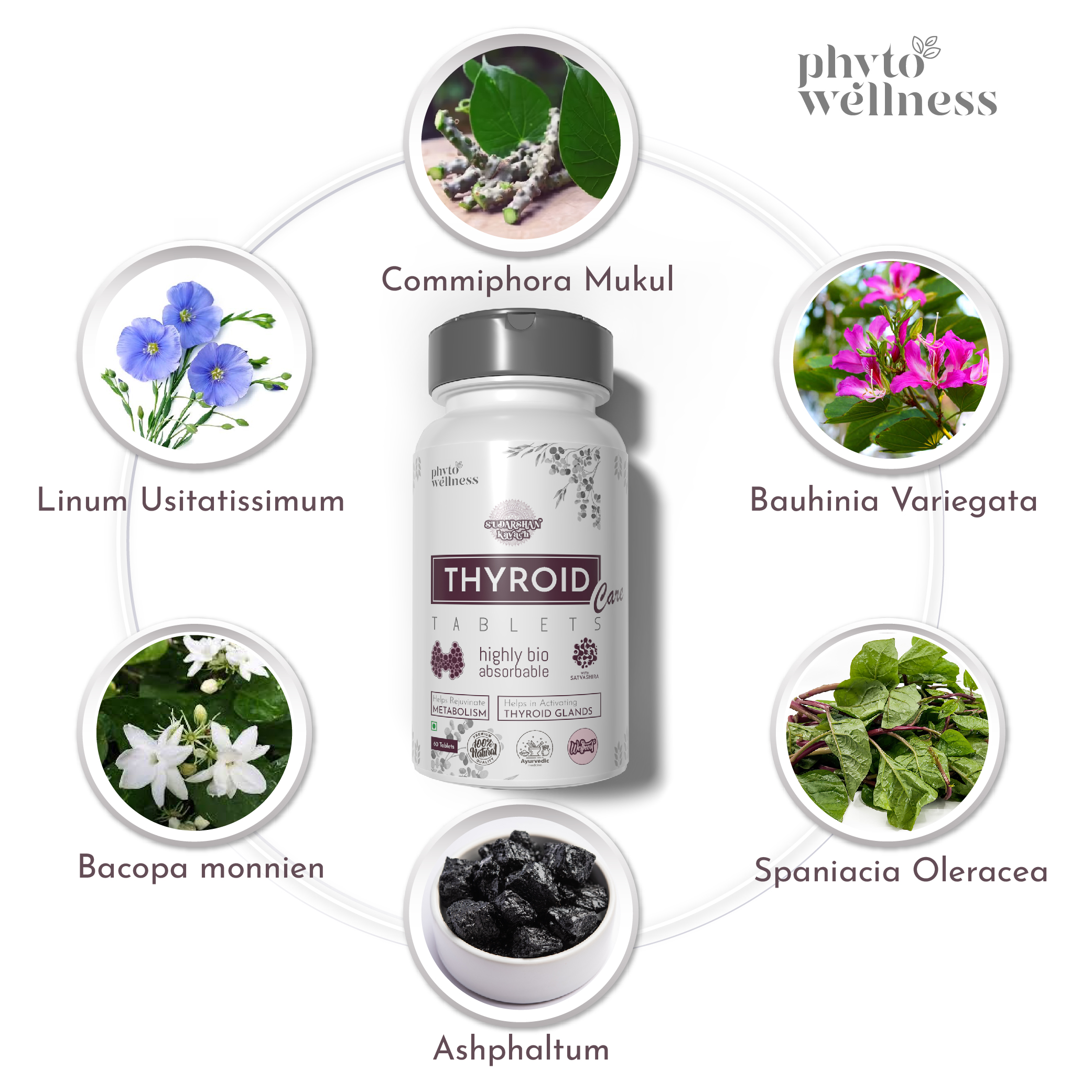 Probiotic Thyroid Care 60 Tablets